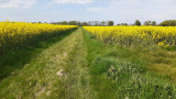 RANDO ANGIENS ©CCCA-2023