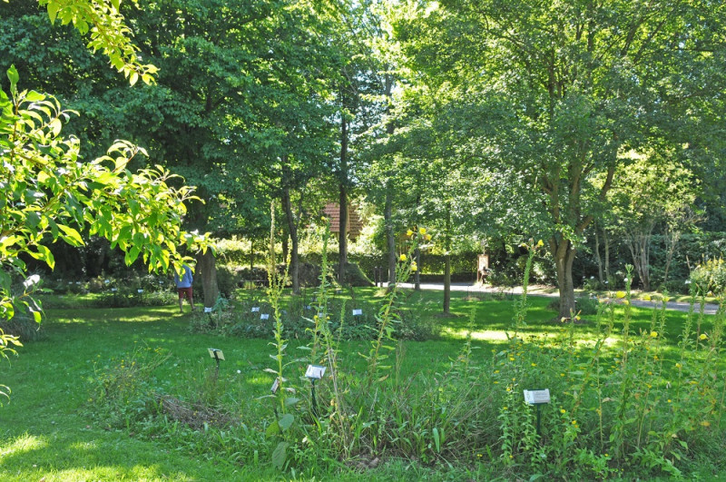 Mesnil-durdent_jardin-des-amouhoques©ccca-2020 (3)